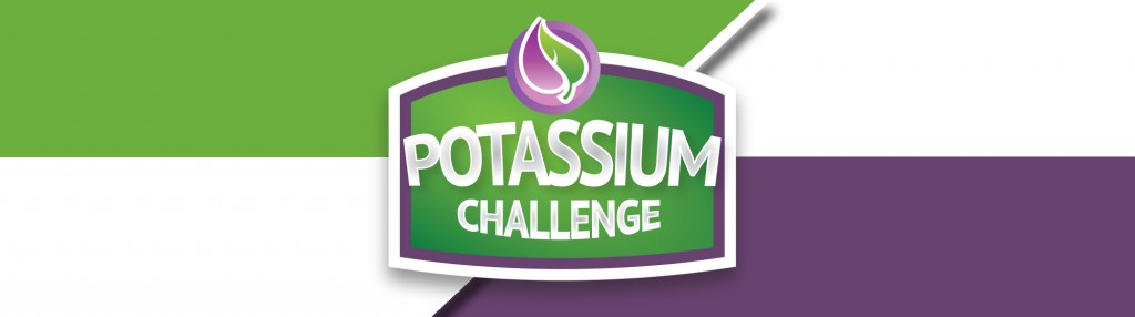 Potassium Management in Potatoes