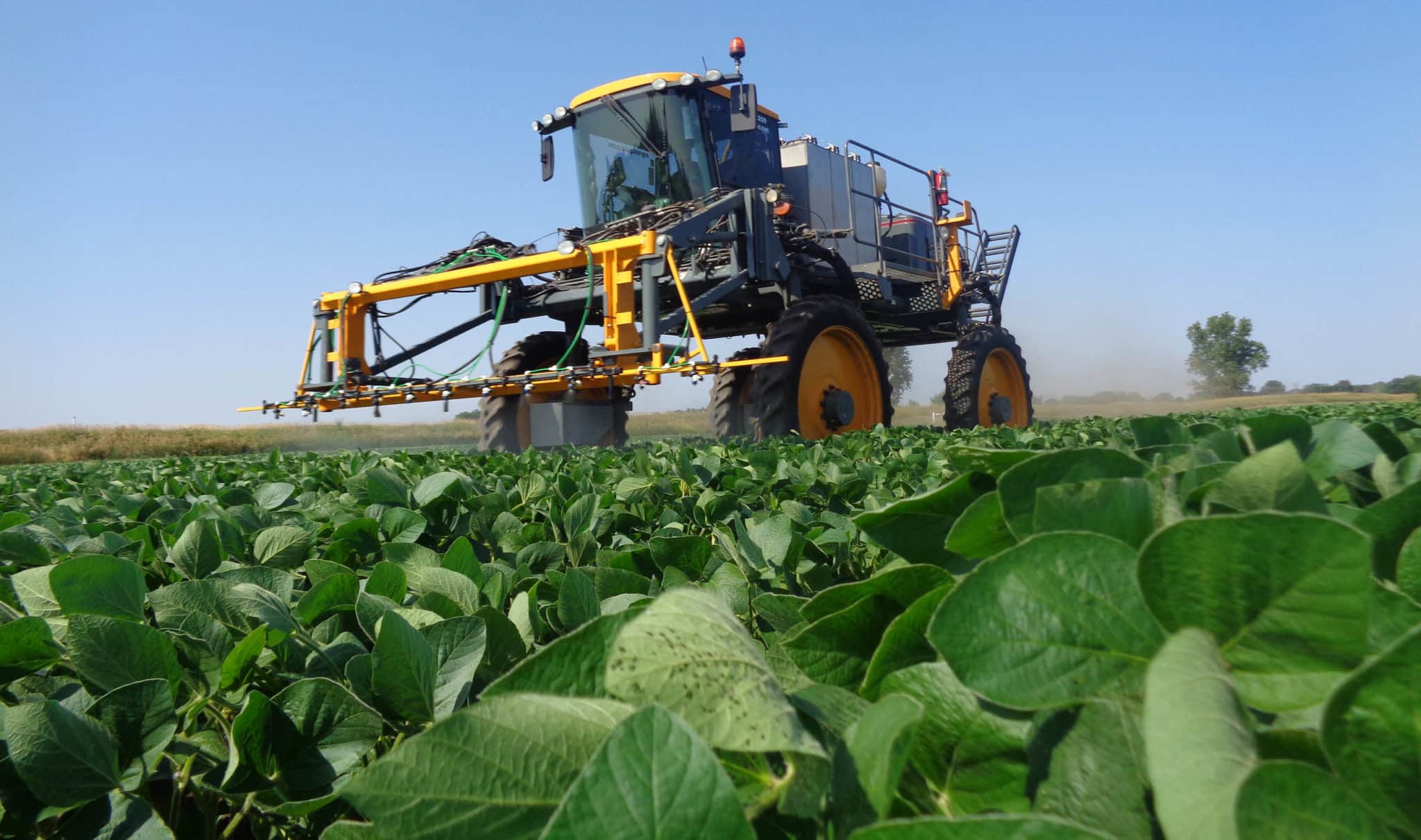 Foliar Fertilizer on Soybeans AgroLiquid