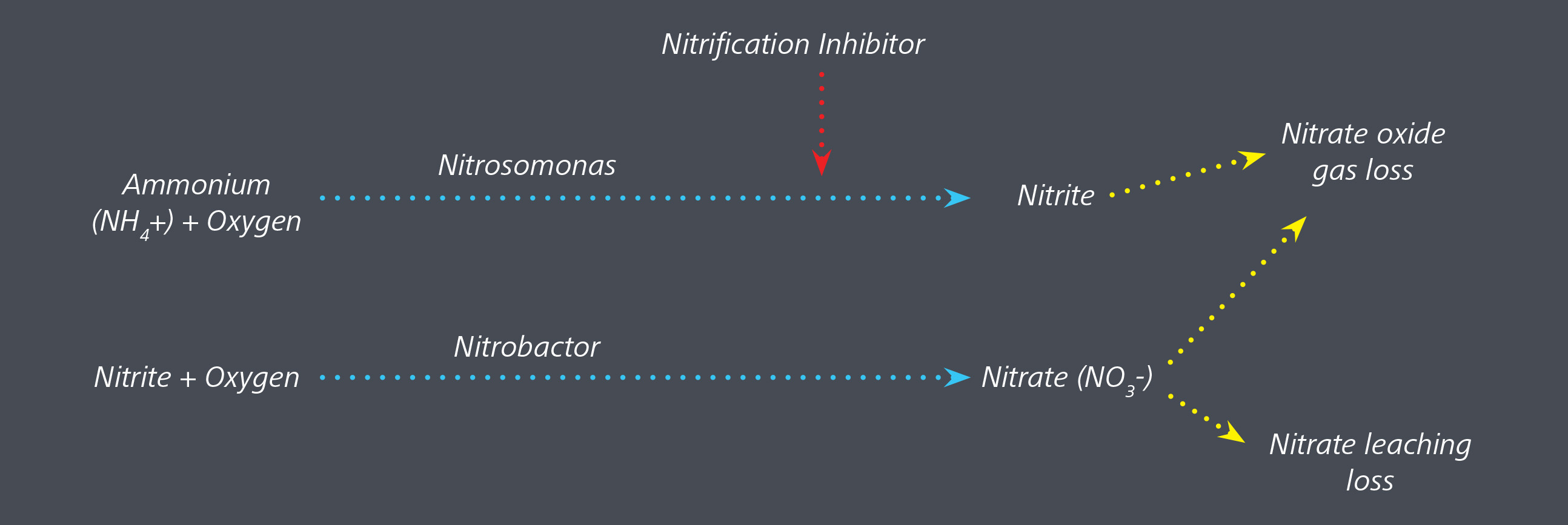 nitrification inhibitor 