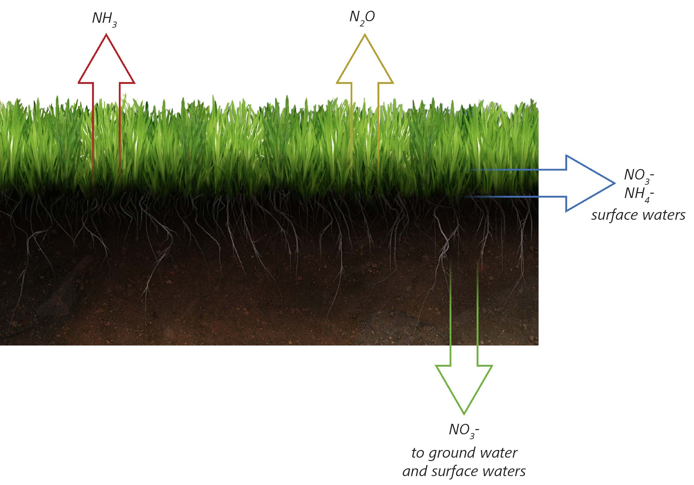 Improving Nitrogen Utilization