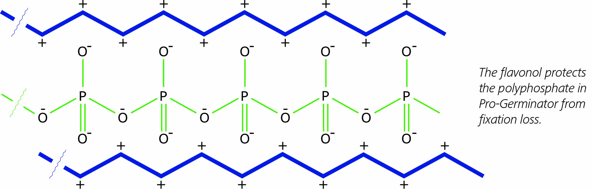 flavonol protects polyphosphate in Pro-Germinator from fixation loss