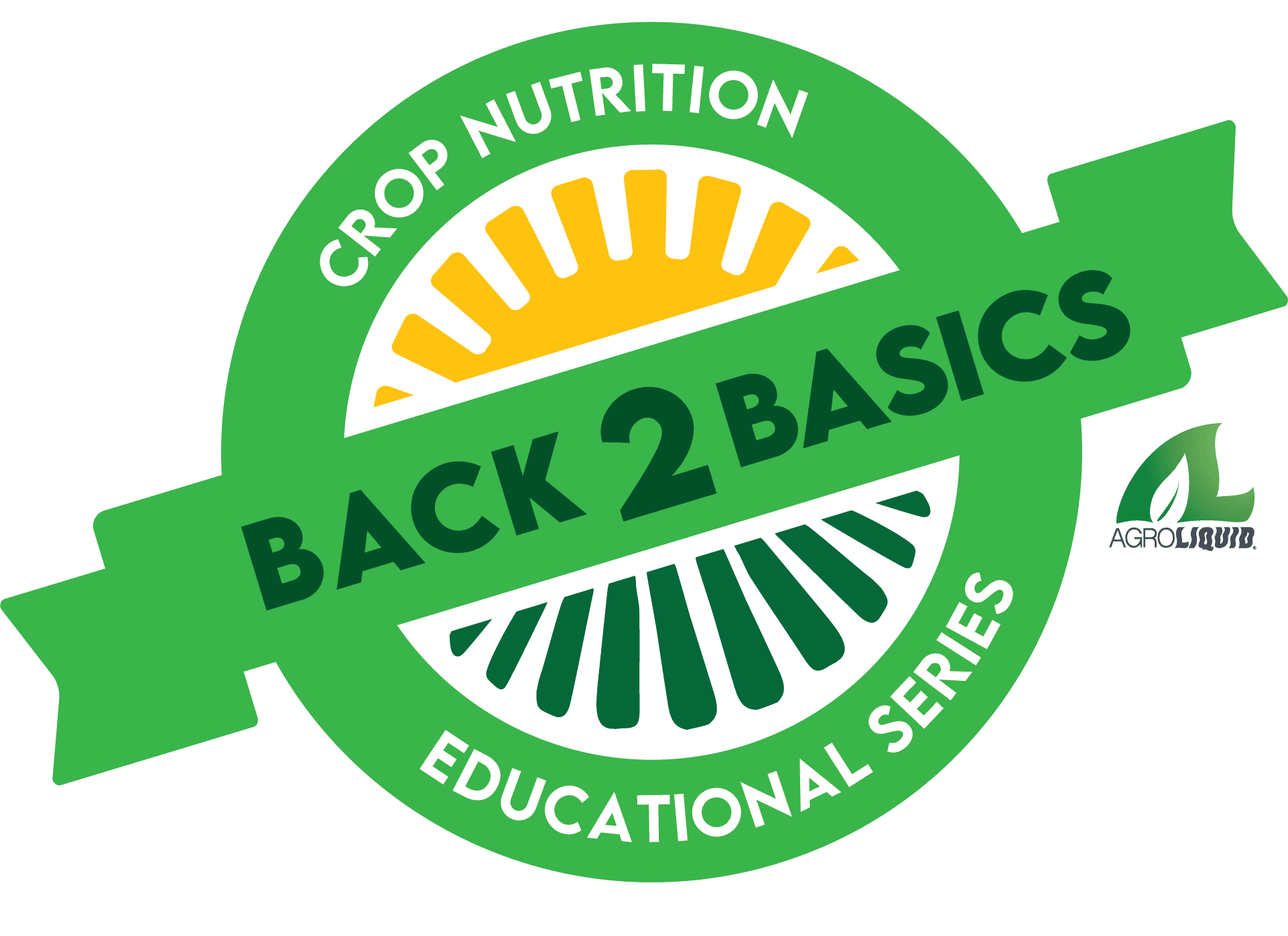 Back to Basics