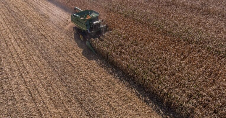 Finish the season strong: don’t let up on the gas before harvest