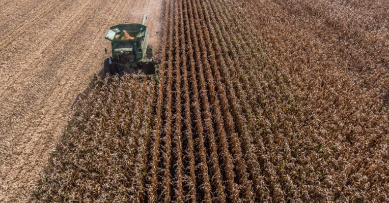 harvest field