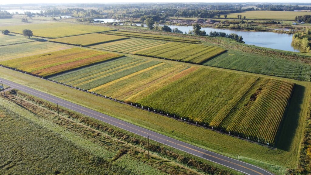 Aerial image of row crop research plots
