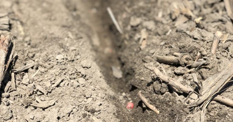 Planter Fertilizer: When Starters Don’t Start