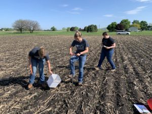 Collecting soil samples to determine the effect of eNhance on nutrient analysis and pH.