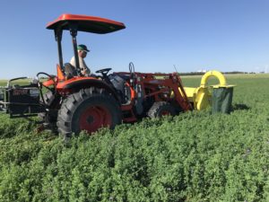 Alfalfa Plot Harvester - Kansas 2020