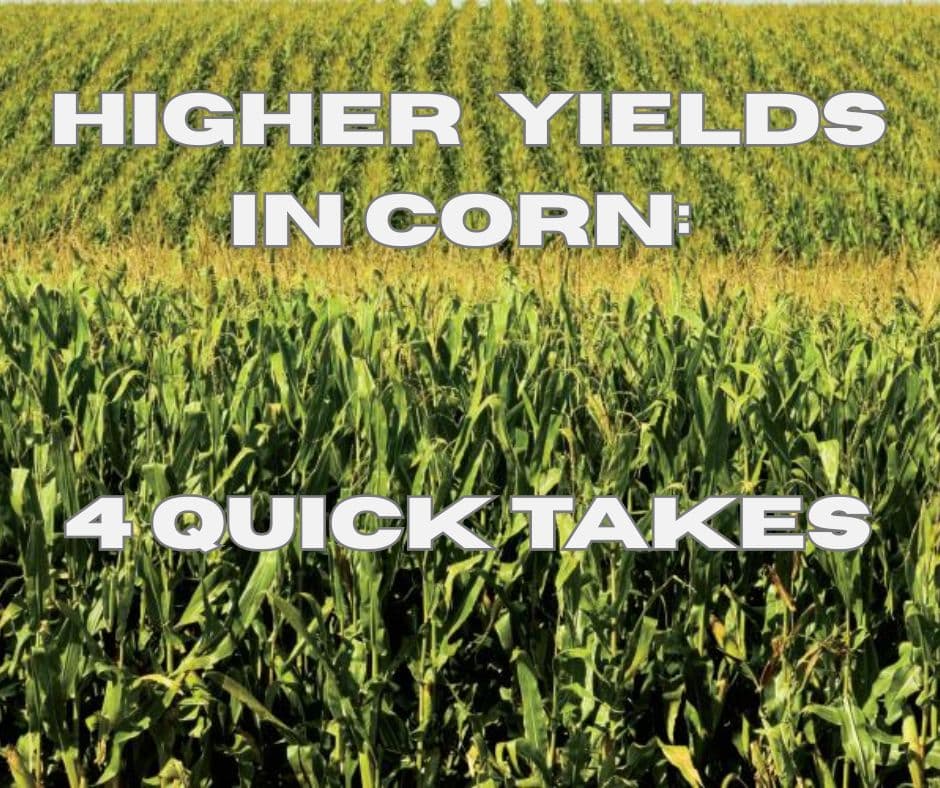 Higher yields in corn: 4 quick takes
