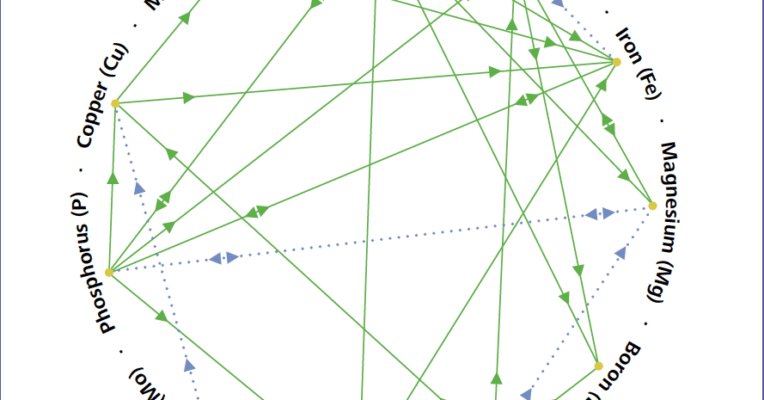 Mulder's Chart of Nutrient Interactions