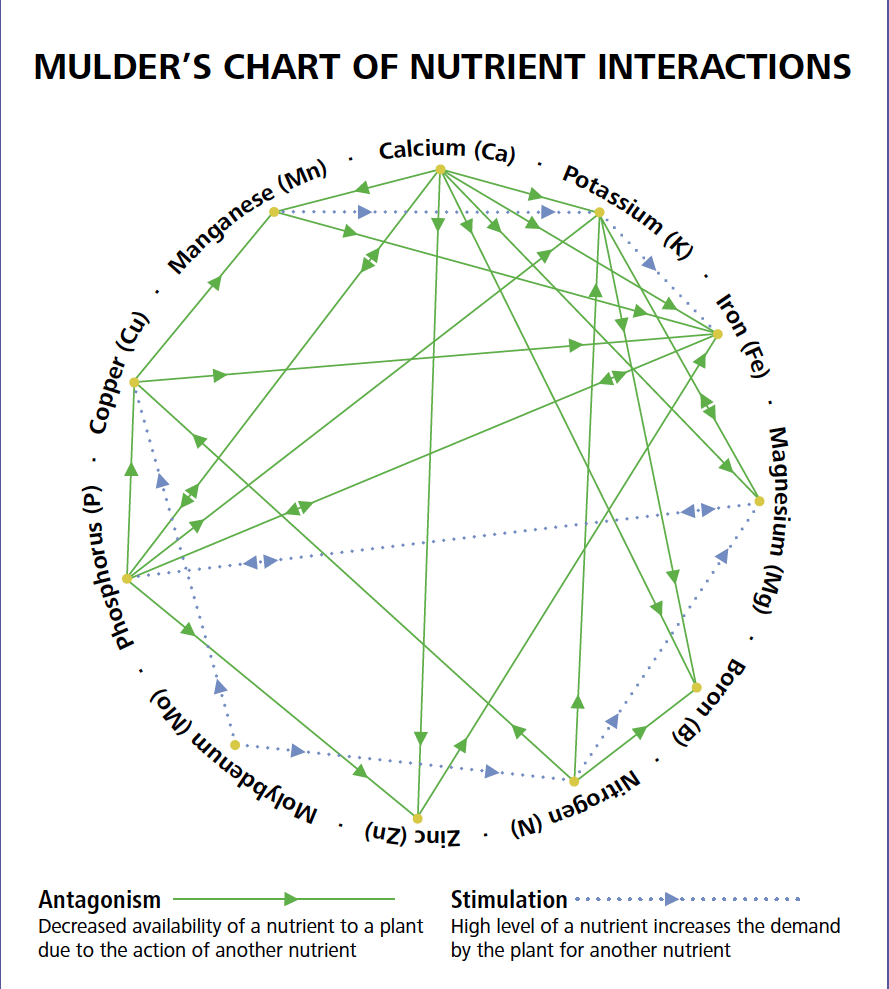 Plant Nutrient Interaction Chart