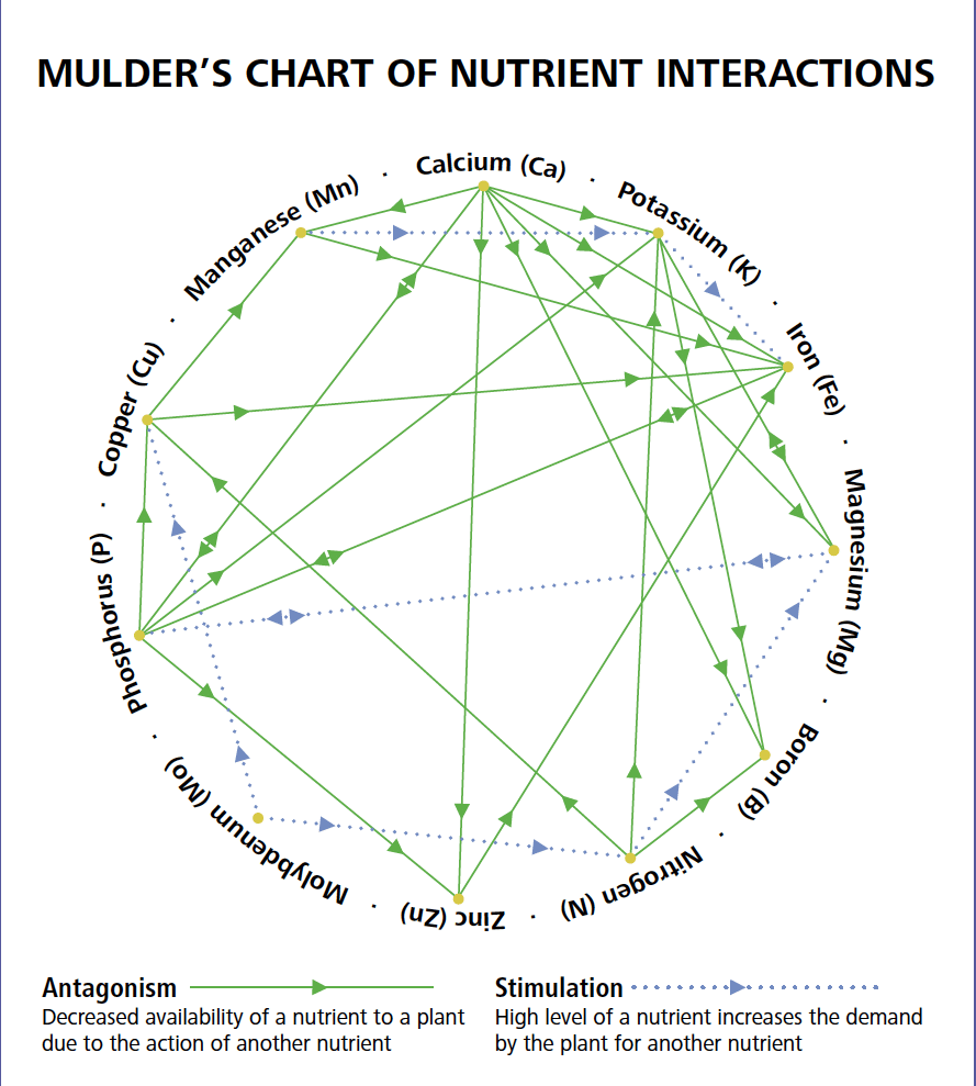 Mulder S Chart Of Nutrient Interaction