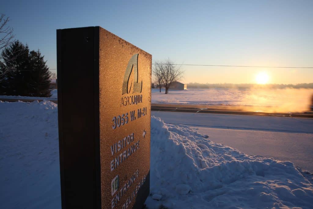 Snowy morning at dawn. Winter is the perfect time to think about phosphorus fertilizer.