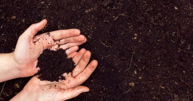 Nutrient interactions in the soil: a firm foundation