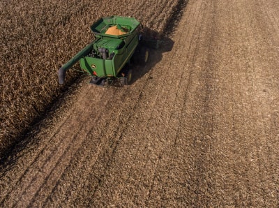 Harvest field