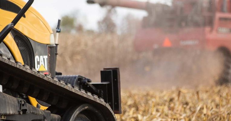 harvesting corn