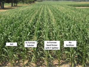 Phosphorus source comparison in field corn