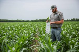 agroliquid staff member taking a tissue sample